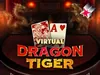 Virtual Dragon Tiger